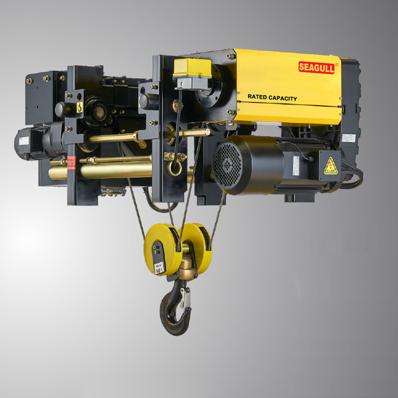 220V-480V Μοναδική/Δυαδική ταχύτητα Μεταβλητής Συχνότητας Αλυσίδα Ανυψωτήρα 0.2-37KW Δύναμη κινητήρα